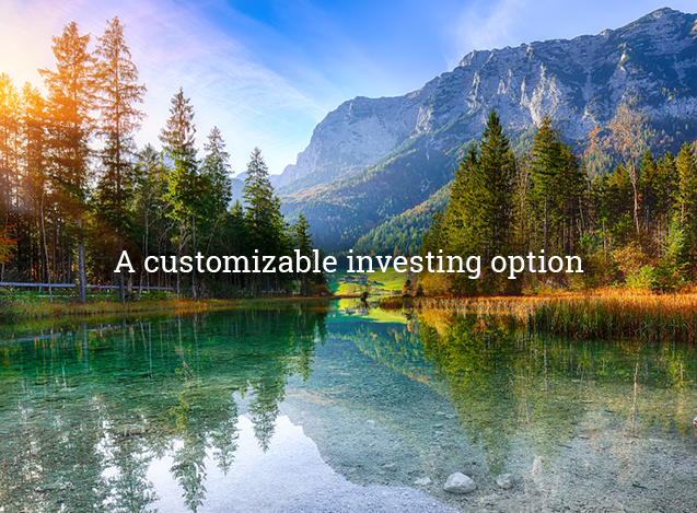 A customizable investing option.png